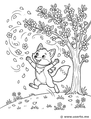 여우와 벚꽃 바람