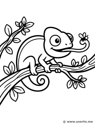 Chameleon's Tasty Catch