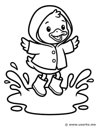 Patito Chapoteando en la Lluvia