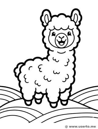 Alpaca Feliz na Montanha Arco-Íris