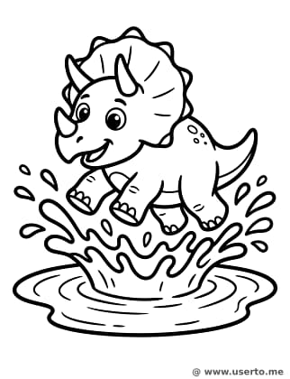 Tricy Salta en los Charcos