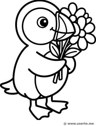 Puffin's Floral Gift