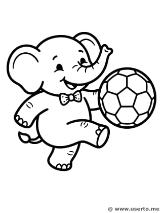 Elefante Feliz, Estrela do Futebol