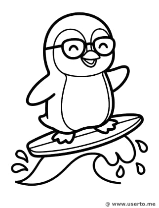 O primeiro surf do pinguinzinho