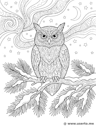 Der Polarlichter-Tanz der Arktis-Eule