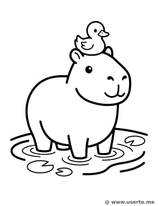 Amigos Capivara e Patinho