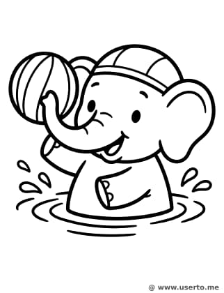 Water Polo do Elefantinho