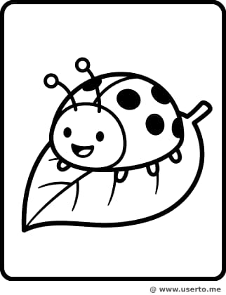 행복한 무당벌레의 나뭇잎 휴식