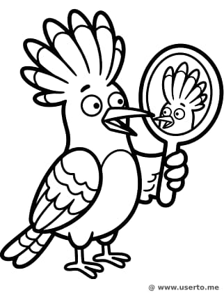 Vain Hoopoe Bird