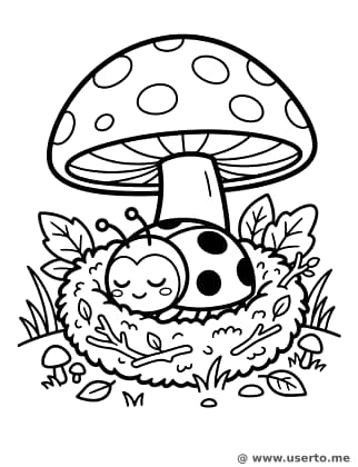 무당벌레의 이끼 침대