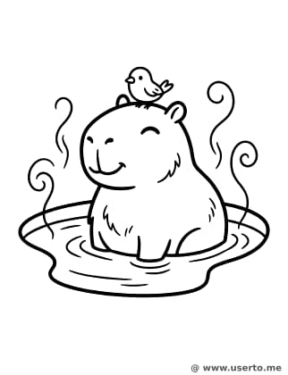 Wasserschwein-Nickerchen in der heißen Quelle