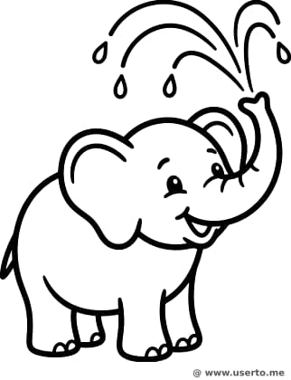 Happy Elephant's Water Party