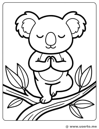 Koala Zen: Yoga en el árbol