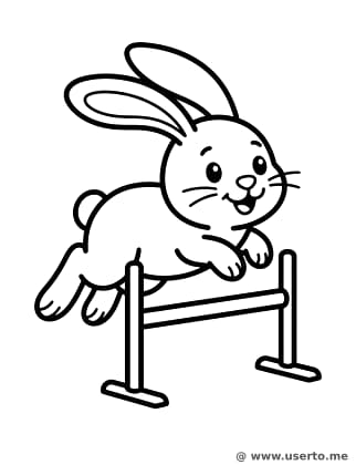 Carrera de Conejitos