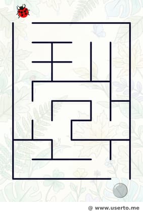 이슬 맺힌 잎사귀 탐험