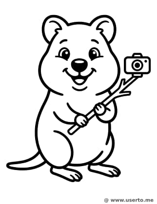 Smiling Quokka's Big Selfie