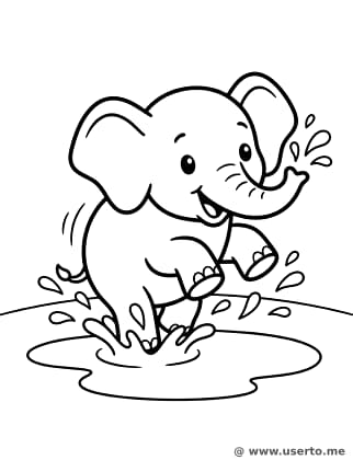 O mergulho do bebê elefante