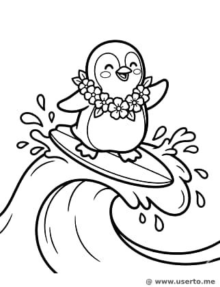 Safari de Surf del Pingüino