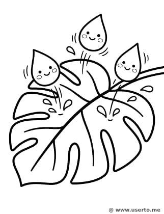 Gotitas Felices en una Hoja Gigante