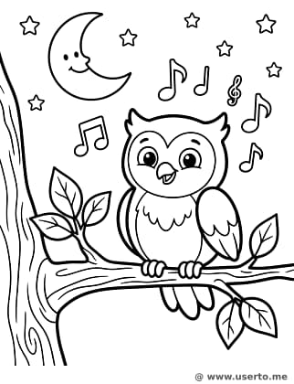 O Concerto Estelar da Coruja