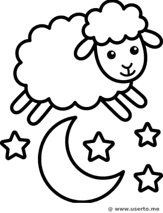 Oveja Nube Salta-Luna