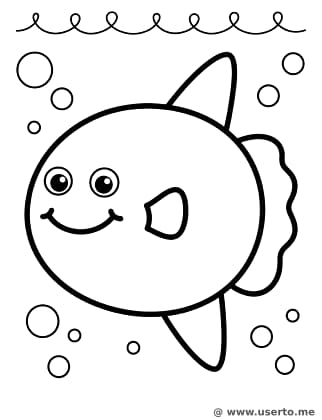 The Smiling Sunfish