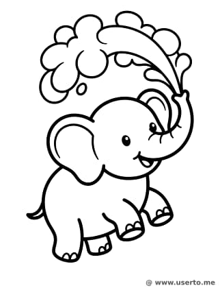 물 뿜는 아기 코끼리