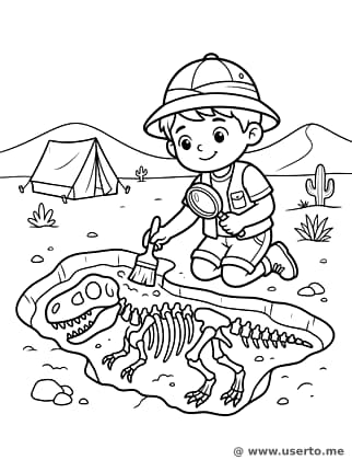 Dinosaur Fossil Discovery