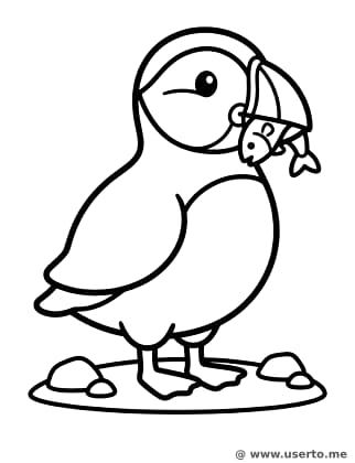 Puffin's Big Catch