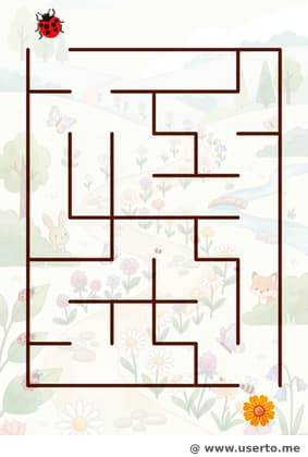 El Viaje de la Margarita en Flor