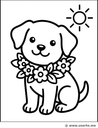 축제의 주인공 강아지