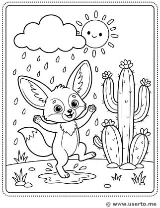 사막여우와 여우비