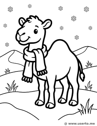 El Primer Día de Nieve del Camello