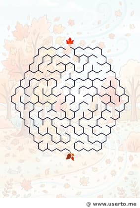 단풍잎의 가을 바람