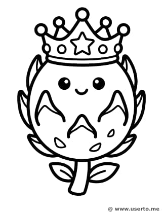 Smiling Dragon Fruit Princess