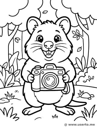 A grande selfie do quokka alegre