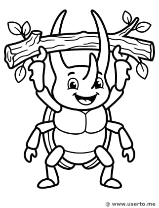 Herkuleskäfer-Gewichtheber