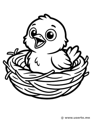 둥지 속 배고픈 아기 새