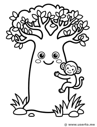 Der Baum mit dem dicken Bauch