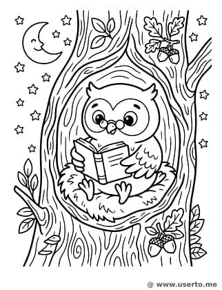 A biblioteca da coruja sábia