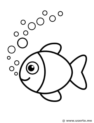 Diversão com Peixes e Bolhas