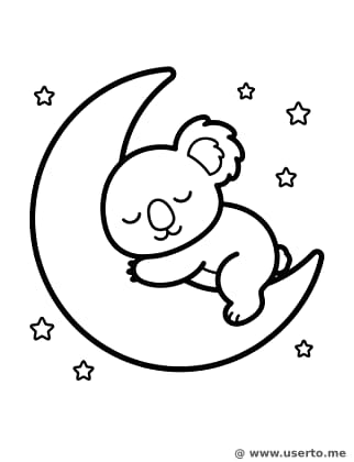 달님 위의 졸린 코알라