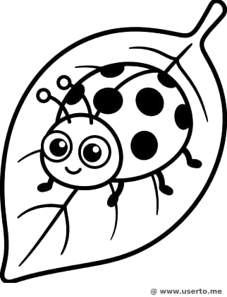 Cheerful Ladybug on a Leaf