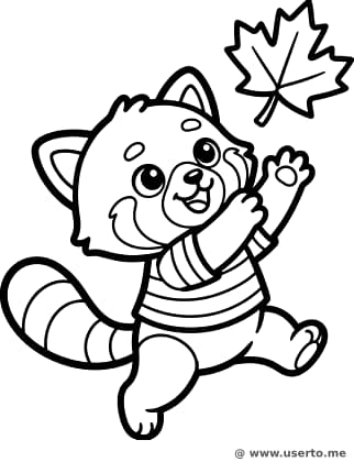 El panda rojo bebé juega con las hojas