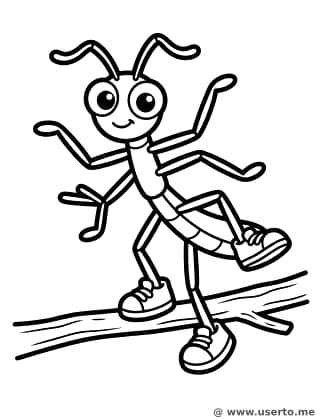 The Dancing Stick Insect