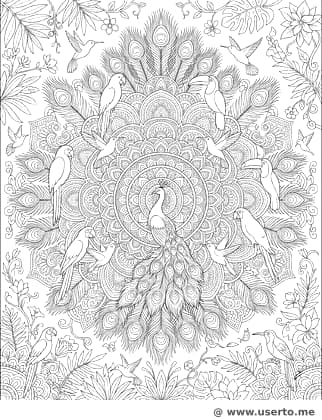 Tropical Feather Mandala