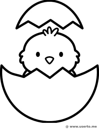 A Grande Surpresa do Pintinho