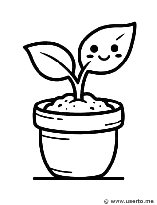 화분 속 아기 새싹