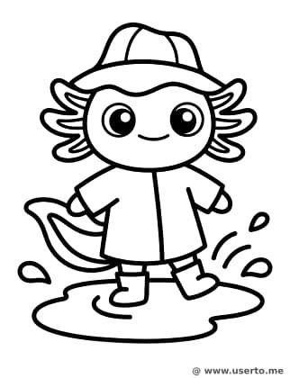 Rainy Day Axolotl