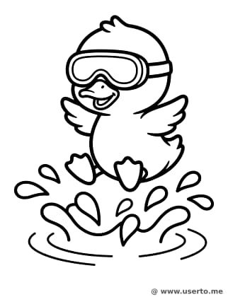 아기 오리의 풍덩 다이빙